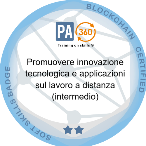 Badge pubblico 68013